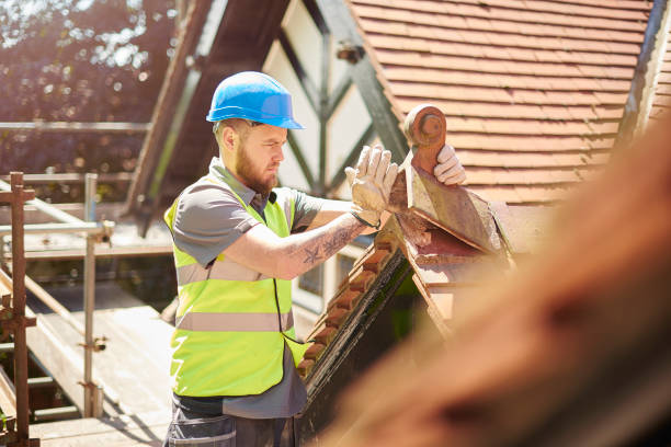 Best Roof Maintenance Services  in Canon, GA